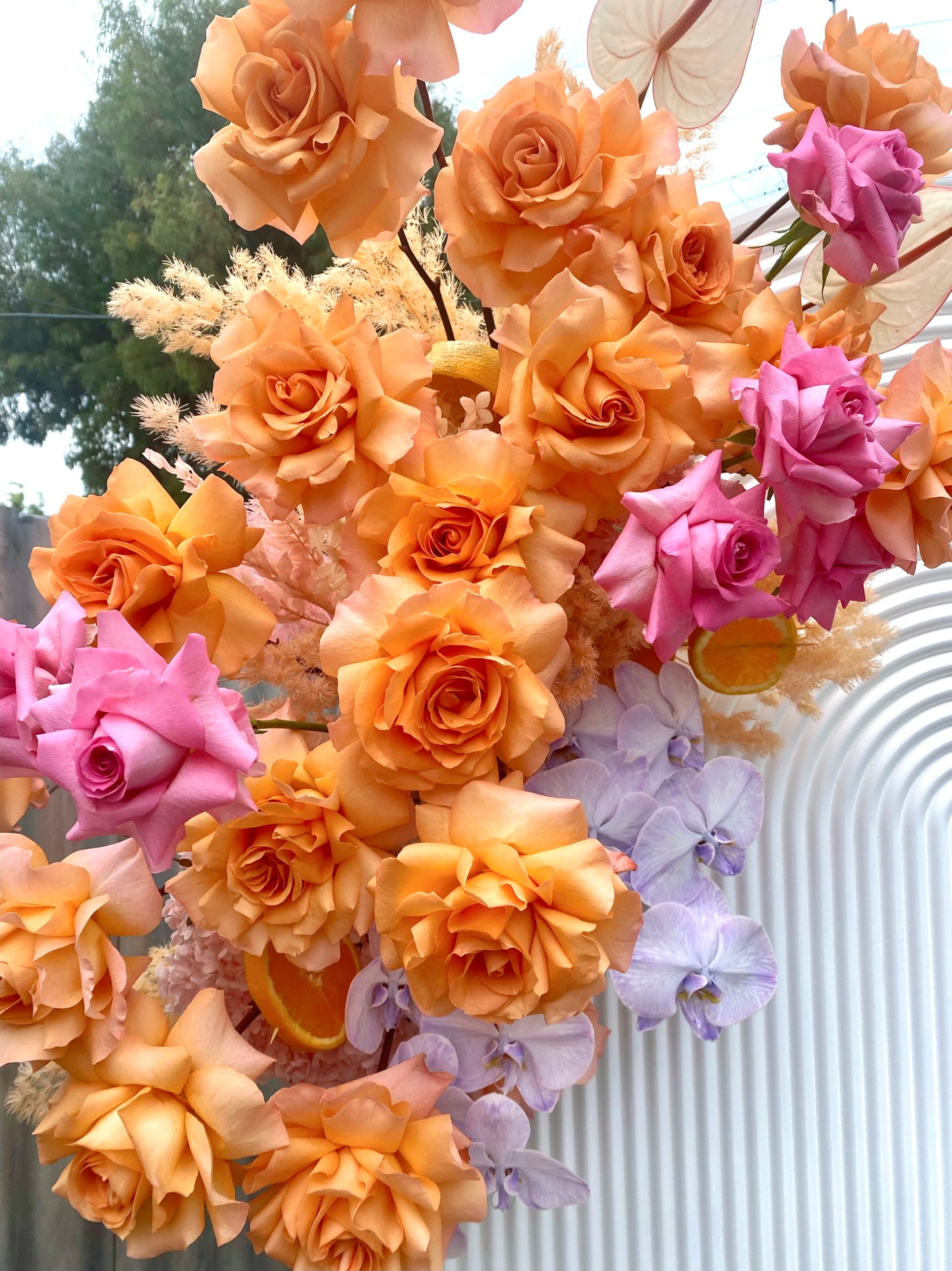 Fresh and Fruity Package